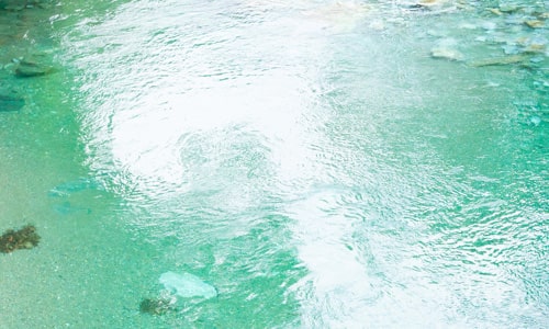 「酒道 黒金流」であなたの人生も世の中も豊かに！