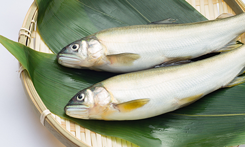 日本料理とは?そして日本料理の可能性、日本酒の可能性