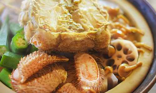 入門者外に奥義初公開!五感と表現力が磨かれる「共感覚唎酒法」!