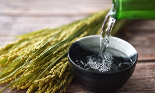 スピノザ哲学から考える新時代、そして日本酒と酒道！＜Part.2＞