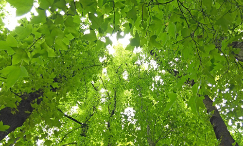 スピノザ哲学から考える新時代、そして日本酒と酒道！＜Part.3＞