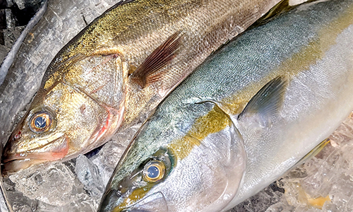 朝ドラ「らんまん」から考える私たちが学ぶべきこと！