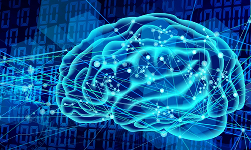 朝ドラ「らんまん」から考える私たちが学ぶべきこと！