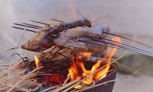 日本の原風景がここにある!土佐の高知の風土・食文化・酒文化 